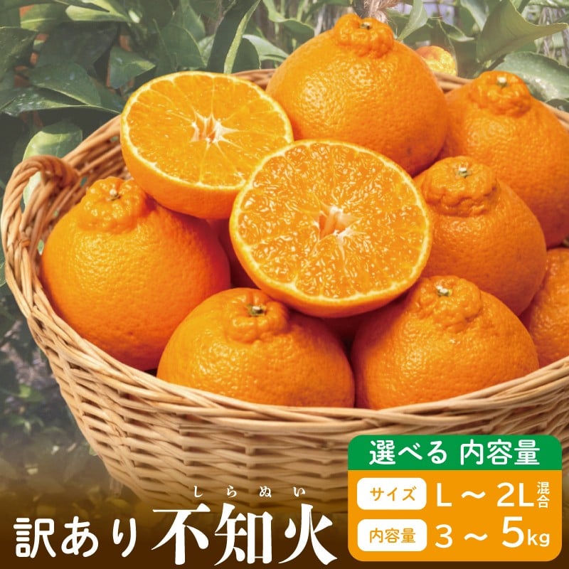 
                  訳あり 不知火 選べる容量 約3kg 約5kg L～2L サイズ混合 先行予約 しらぬい みかん 蜜柑 果物 フルーツ 柑橘 オレンジ ゼリー ジュース アイス ケーキ デザート スイーツ ジャム 糖度 甘い 不揃い 混合 ビタミン 美容 健康 送料無料 徳島県 阿波市 山中農園
                