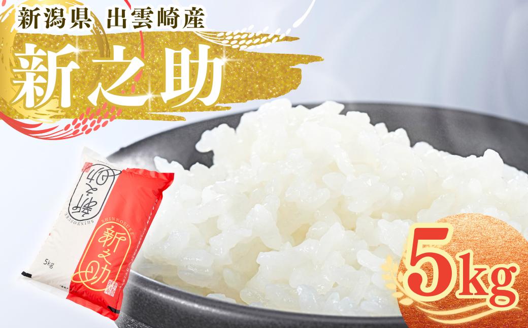 【令和7年産】 「新之助」 5㎏ 新潟県産 出雲崎町産 白米 精米 お米