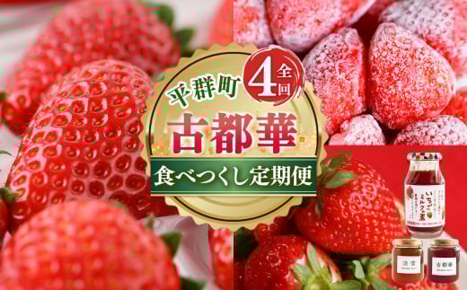 【 定期便 4回 】 濃紅 の 宝石 へぐり の 古都華 食べつくし | ブランド 苺 ご褒美 ごほうび 高糖度 甘い イチゴ いちご ストロベリー 古都華 ことか ルビー色 果物 くだもの フルーツ フレッシュ 新規 農家 応援 支援 旬の品種 奈良県 平群町