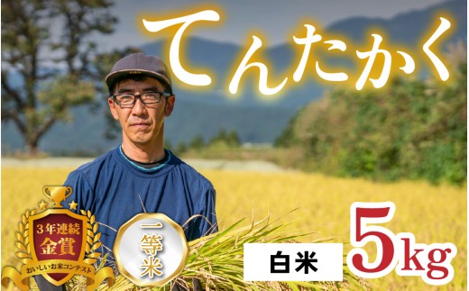 【令和8年産 新米】越前大野産 一等米 帰山農園の「てんたかく」5kg  白米