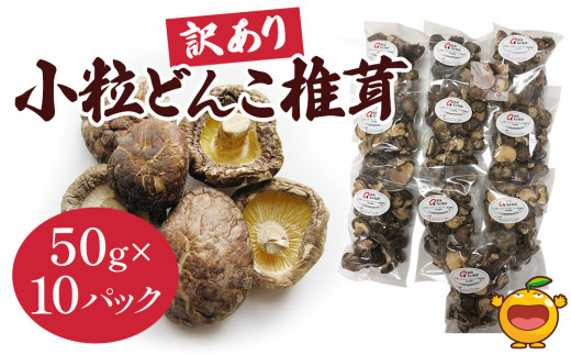 椎茸<訳あり椎茸> 大分産椎茸（しいたけ） どんこ椎茸 小粒どんこ椎茸 50g×10パック | 椎茸 椎茸小粒 干椎茸 椎茸パック しいたけ 干し椎茸 シイタケ 乾し椎茸 どんこしいたけ 菌床しいたけ きのこ ギフト 国産 産地直送 津久見市