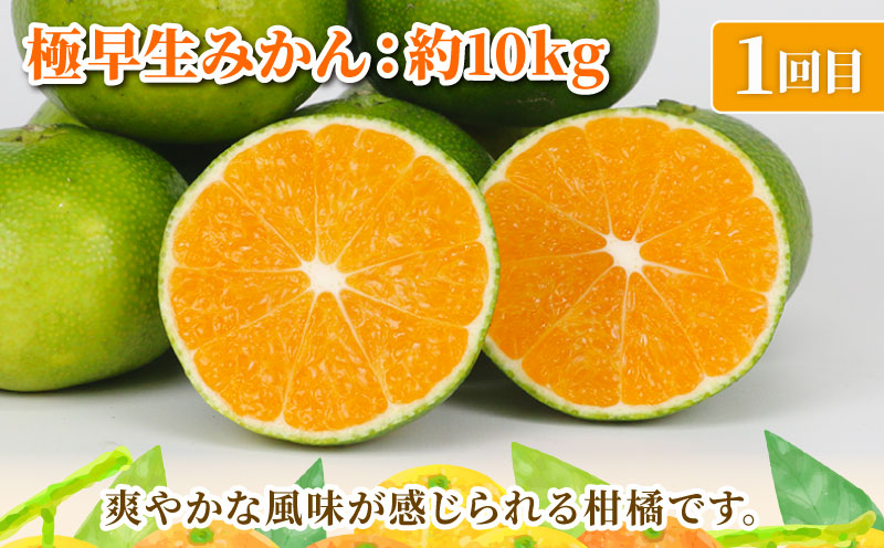 旬の 温州みかん 10kg × 3回 定期便 矢野青果 準贈答用 極早生 宮川早生 南柑20号 みかん mikan 愛媛みかん 愛媛ミカン 愛媛蜜柑 果物 くだもの フルーツ 濃厚 甘い 甘味 さっぱ