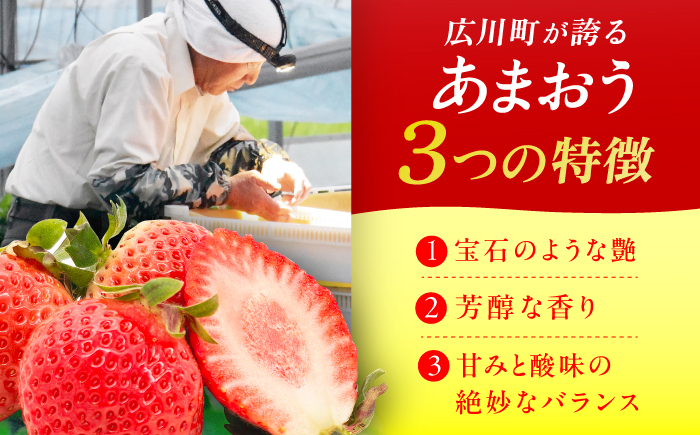 あまおうG等級 いちご イチゴ 苺 果物
