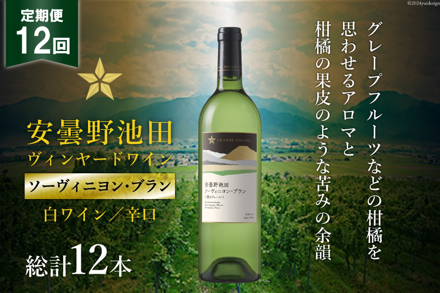 
12回 定期便 白ワイン サッポロ グランポレール 安曇野池田ヴィンヤード「ソーヴィニヨン・ブラン」750ml 総計12本 [池田町ハーブセンター 長野県 池田町 48110617] 白 ワイン 辛口 お酒 酒
