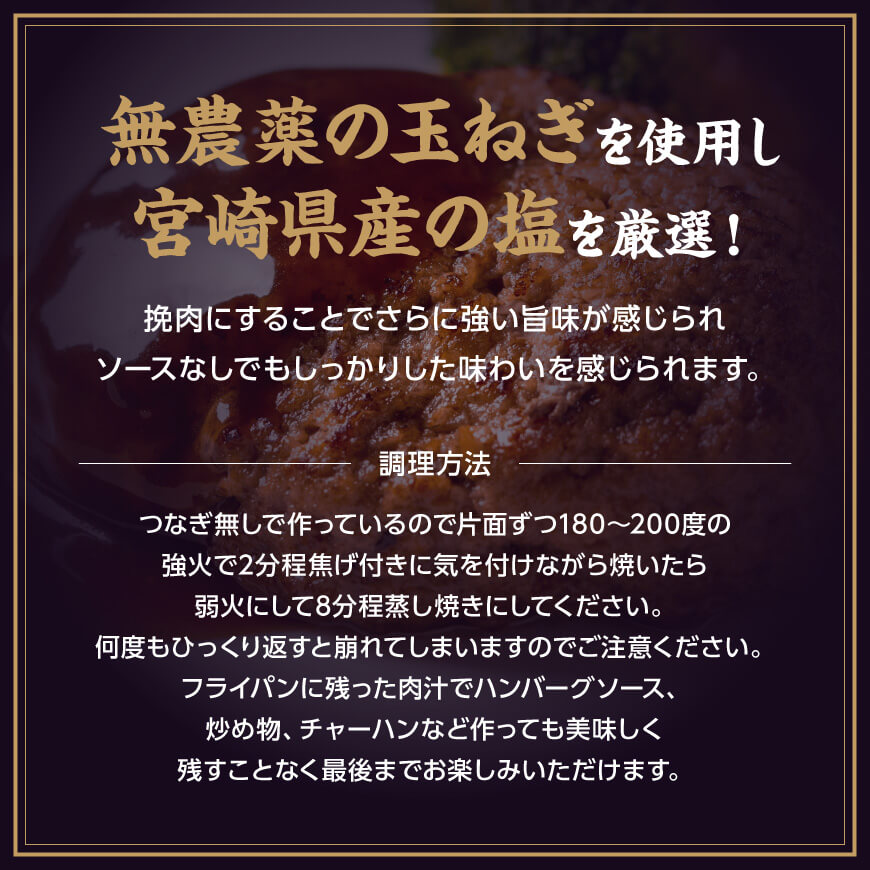 いぶさな牛ハンバーグ 10個 【 宮崎県産 牛 ハンバーグ 黒毛和牛 】[D05301]