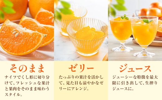 オレンジ セミノールオレンジ 約5kg 株式会社魚鶴商店《5月上旬-5月下旬頃出荷予定》 和歌山県 日高川町 柑橘 フルーツ