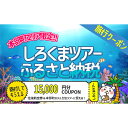 【ふるさと納税】【本部町】しろくまツアーで利用可能なWEB旅行クーポン（1万5千円分）