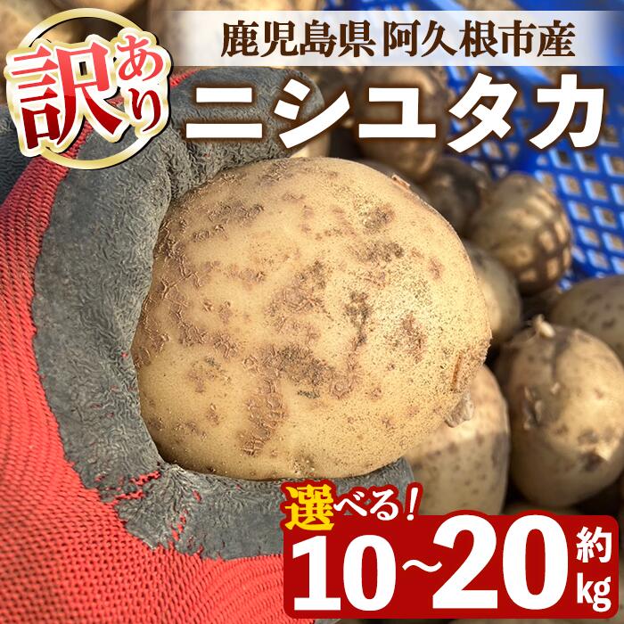 【ふるさと納税】＜先行予約受付中！2026年6月以降順次発送予定＞＜内容量が選べる！＞訳あり！じゃがいも ニシユタカ(10〜20kg) 国産 鹿児島県産 阿久根市産 じゃがいも ジャガイモ 芋 ポテト にしゆたか 訳アリ 野菜 ポテトサラダ コロッケ 常温 常温配送【慶越農園】
