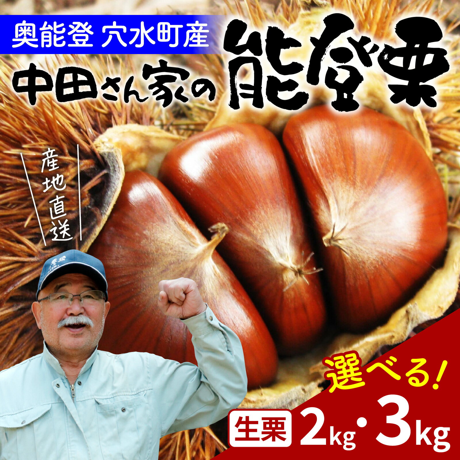 【ふるさと納税】【先行予約】【容量が選べる】中田農園の能登栗 2kg or 3kg ～奥能登の大地で育った能登栗～【2025年9月以降順次発送】/ 能登半島 奥能登 くり 生栗 マロン 和栗 焼き栗 栗ごはん 焼き栗 国産 果物 送料無料