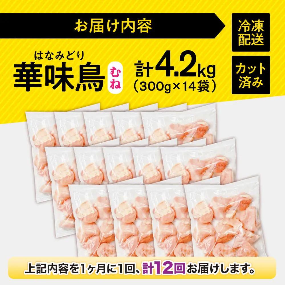 【12回定期便】華味鳥 むね肉 4.2kg（300g×14袋）小分け カット済み 南島原産 /　鶏肉 肉 とり肉 ムネ肉 鶏むね肉 冷凍 大容量 / 南島原市 / 株式会社渡部ブロイラー[SFS020