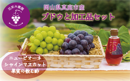 岡山 花笑み農園『ピオーネ＆シャインマスカット＆果実の飲む酢ピオーネ』PS-N【hana10-2】
