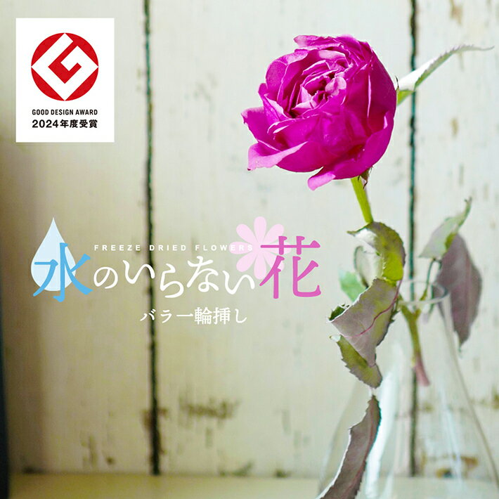 【ふるさと納税】水のいらない花 ゼロフラワー 「バラ一輪挿し」 花瓶つき 東北 山形県 酒田市 庄内 LotusGarden フリーズドライ専門店 Next Level FLOWERS Japan フリーズドライフラワー 一輪挿し