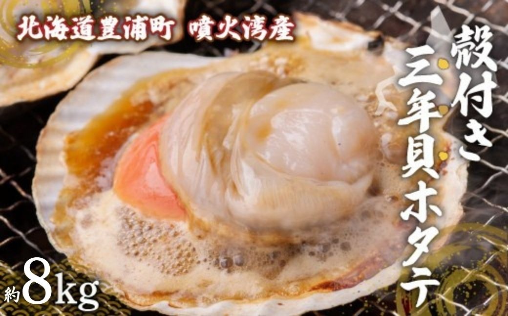 【先行予約】北海道 豊浦町 殻付き 3年貝 活ホタテ 約8kg（32～40枚）（2026年1月より順次発送） TYUP007