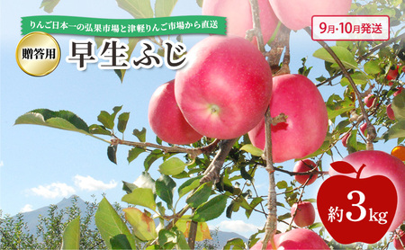 りんご早生ふじ贈答用 青森県産 りんご【約3kg】【9・10月発送】
