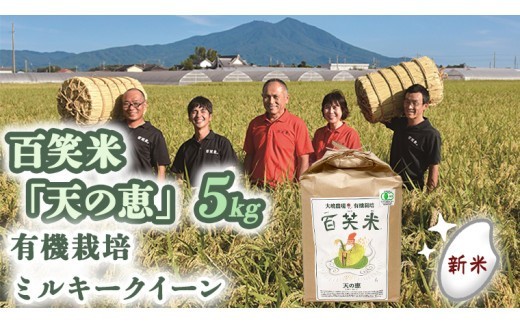 
            精米 百笑米 「 天の恵 」 有機栽培 ミルキークイーン 5kg R7年産 米 コメ 茨城県 単一米 [AC013ci]
          