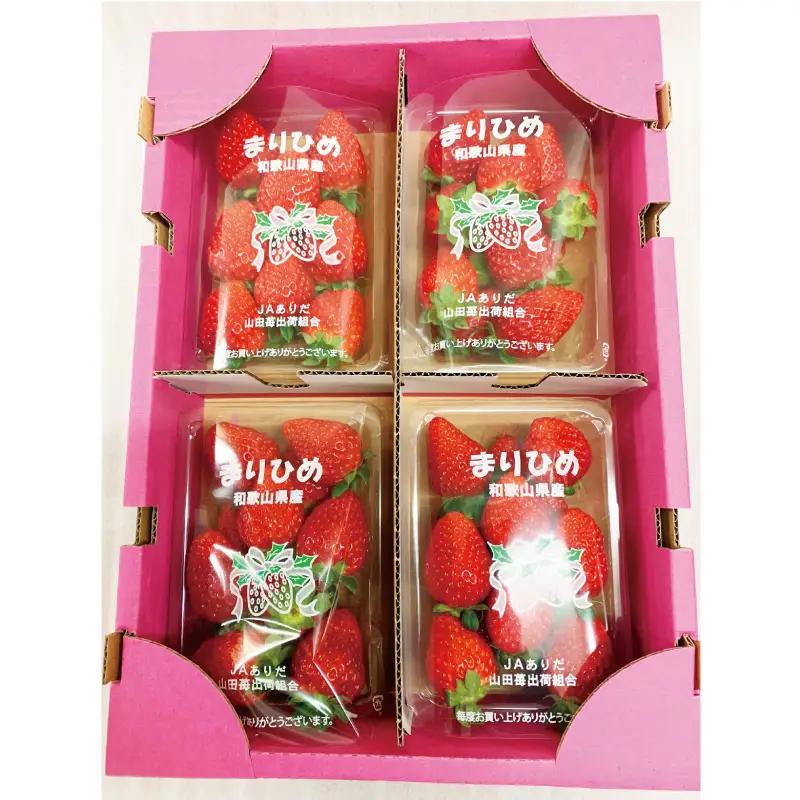 【来シーズン先行予約】紀州和歌山ブランドいちご「まりひめ」約250g×4P ※2027年3月上旬頃～3月下旬頃に順次発送予定【uot758B】