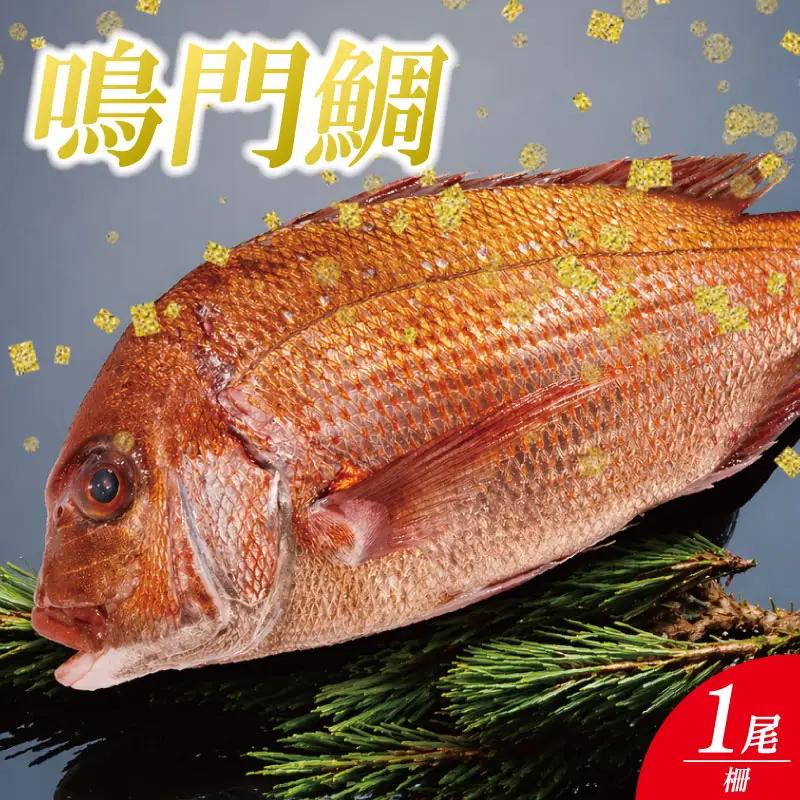 鳴門鯛 1kg 柵 1尾分 鳴門鯛
