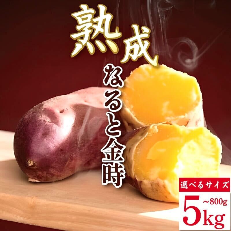 【ふるさと納税】 なると金時 800g～5kg 選べる サイズ 野菜 さつまいも 焼き芋 芋 鳴門金時 なると金時 ヤサイ やさい 食材 新鮮 旬 産地直送 徳島 鳴門