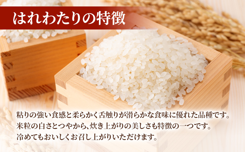 ライスボール おにぎり大作戦 はれわたり2kg お米 米 精米  青森県 西目屋村