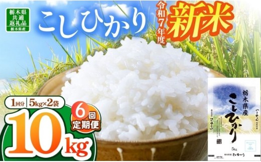 【栃木県共通返礼品】【令和7年度新米】栃木県産コシヒカリ 60kg |定期便 選べる ふるさと 納税 コシヒカリ お米 精米 白米 玄米 大粒 共通返礼品 送料無料 那珂川町 栃木県