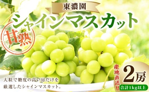【2025年収穫 先行予約】産地直送 東濃園の甘熟 クール配送 シャインマスカット 1.0kg以上 2房 種なし 皮ごと 大粒 高級 ギフト 贈答 フルーツ ぶどう 葡萄 ブドウ 果物 人気 新鮮 くだもの 旬 期間限定 岐阜県 美濃加茂市 令和7年 2025年発送先行予約 9月上旬-10月上旬発送予定