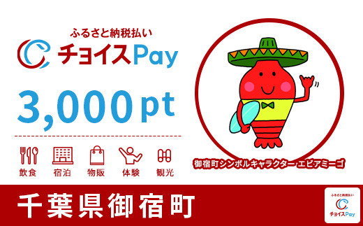 
御宿町チョイスPay 3,000pt（1pt＝1円）【会員限定のお礼の品】
