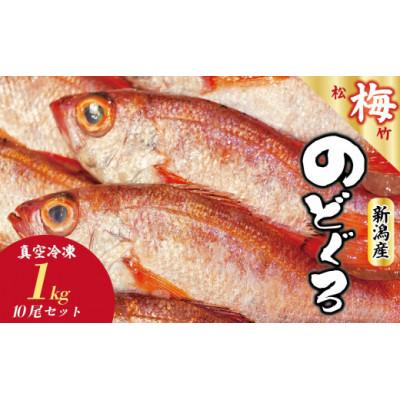 ふるさと納税 新発田市 【鮮度抜群】真空冷凍　日本海産ノドグロ 10尾セット(1尾 約100g以上)