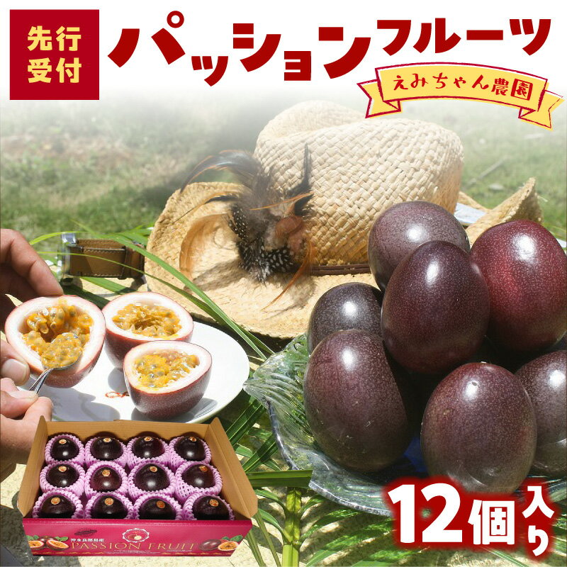 【ふるさと納税】【2026年先行予約】パッションフルーツ 1kg 12個 えみちゃん農園 果物 果実 予約 数量 期間 限定 南国 甘い 酸味 アイス ヨーグルト 鹿児島 知名町 沖永良部島 沖永良部 おすすめ ランキング プレゼント ギフト