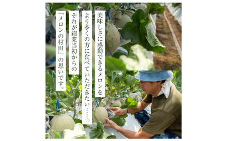 クインシーメロン（1玉入り1箱）1.5kg前後