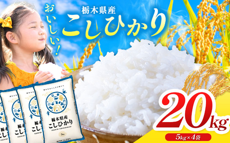 栃木県産コシヒカリ 5kg×4 (20kg)