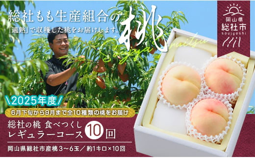 【10回定期便】桃 食べつくしレギュラーコース　岡山県総社もも生産組合【2025年産先行予約】25-140-001