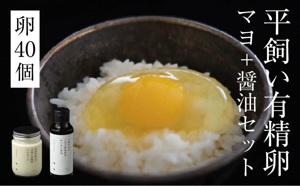 平飼い有精卵 40個＋オリジナルマヨネーズ＆だし醤油セット《西粟倉村》【株式会社点々】t-SS-AoEA