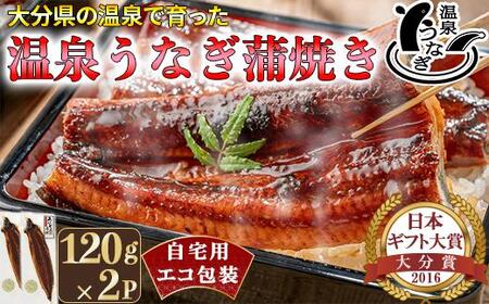 完全無投薬養殖！温泉うなぎ蒲焼 2尾（120gサイズ） 自宅用 エコ包装  ＜104-067＞