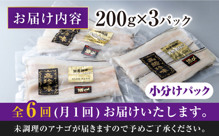 【全6回定期便】対馬産 西沖あなご 200g×3パック《対馬市》【保家商事】 あなご 穴子 アナゴ 海鮮 海産物 魚介[WAA026]