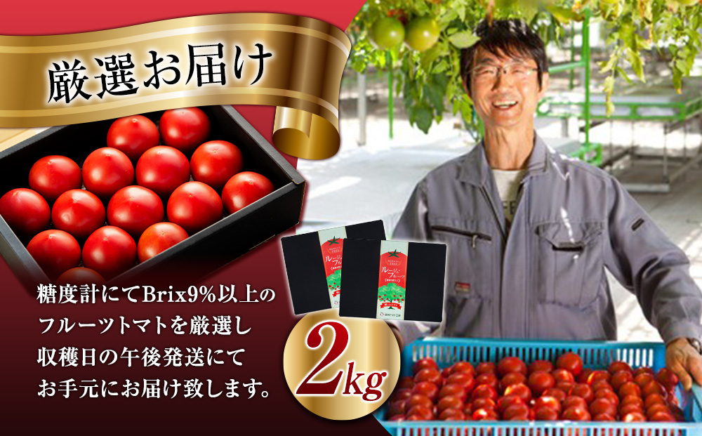 トマト 長野 オールージュトマト 2kg 野菜 夏野菜 夏 旬 旬野菜 甘い 国産 ビタミン ミネラル 抗酸化 リコピン 美容 健康 フルーツトマト フルーツ 長野県産 長野県 箕輪町