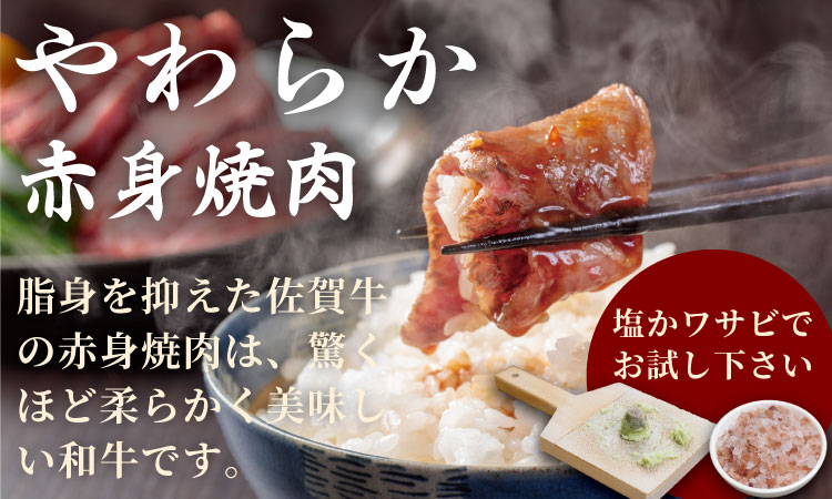 【定期便】佐賀牛 A4 〜 A5 人気の赤身肉・ヒレステーキ肉「合計2,800g（隔月6回）」 冷凍 赤身 牛肉 国産 お肉 ブランド牛 九州産 牛肉 スライス ステーキ しゃぶしゃぶ すき焼き 川べ