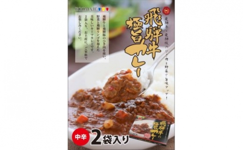 飛騨牛の極旨カレー　２食入り×２箱[B0056pi]