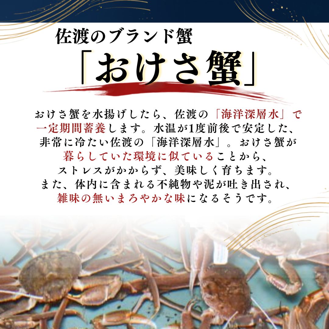 ボイル本ズワイガニ「おけさ蟹」Lサイズ 2尾（1尾あたり約600g） 約1200g 208364-0001