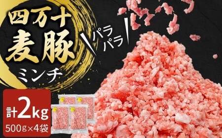 四万十麦豚 パラパラミンチ 2kg（500g×4袋）麦豚 ミンチ 冷凍 Ahc-22