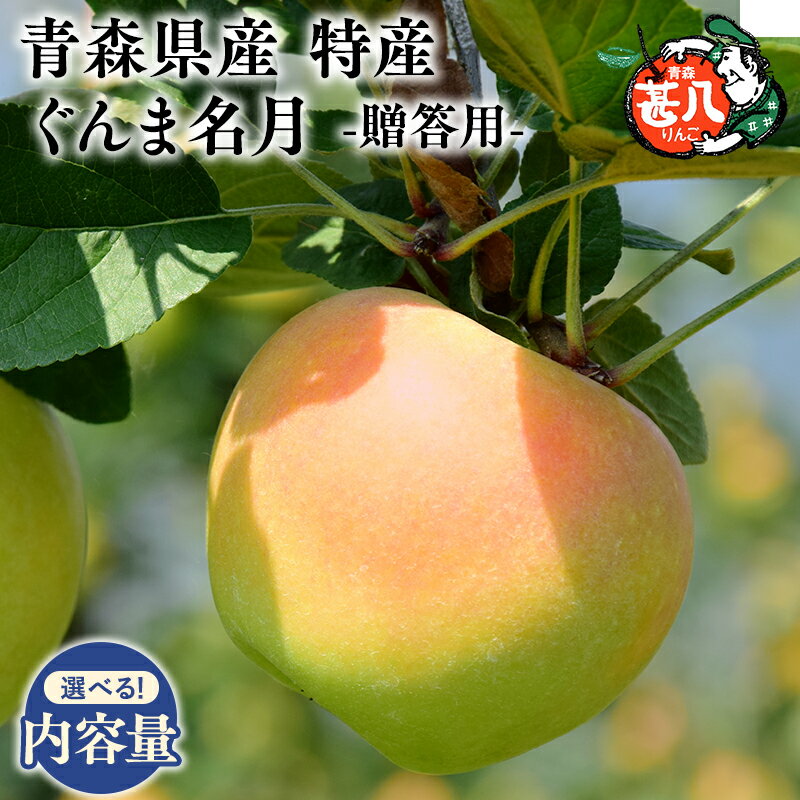 【ふるさと納税】≪内容量が選べる≫青森県産 訳あり 家庭用 甚八りんご ぐんま名月 3kg 5kg【青森県 平川市 マルジンサンアップル】11月発送 青森 青森県産 平川 りんご リンゴ 林檎 くだもの 果物 フルーツ レビューキャンペーン