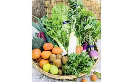 野菜と果物セット 産地直送！新鮮とれたて旬の野菜＆季節のフルーツ [果実的野菜 (イチゴ・スイカ・メロン・まくわ等) を含む] 1種以上 約1kg [3244]