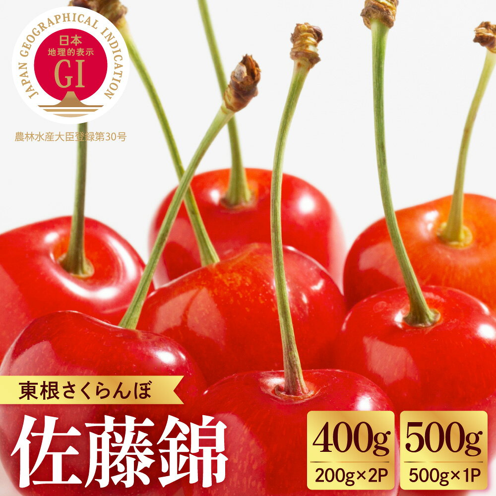 【ふるさと納税】 2027年産 GI 東根さくらんぼ 「 佐藤錦 」( 選べる内容量 : 400g 500g ) 秀品 バラ詰め Lサイズ以上 | さくらんぼ サクランボ フルーツ 果物 くだもの 箱入り 化粧箱 贈り物 ギフト 贈答 冷蔵配送 先行予約 送料無料 山形県 東根市