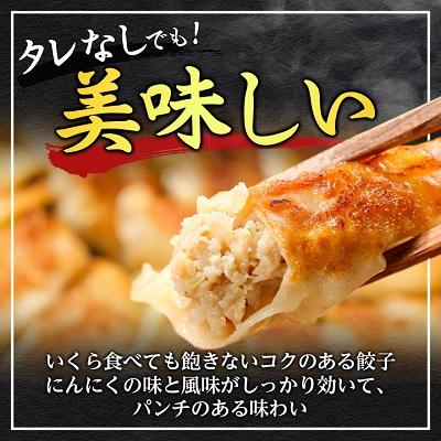ふるさと納税 大和高田市 【2025年5月上旬発送】鉄人餃子　150個(30個×5袋) |  | 01