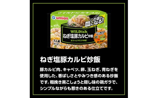 Umios 冷凍食品 WILDish ねぎ塩豚カルビ炒飯 １人前×16個入り