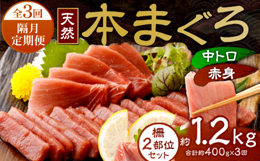 【 定期便 全３回 隔月 お届け 】まぐろの王様！天然本まぐろ味わいセット ２カ月に１回　合計３回  サク 柵 スライス 切落し セット 天然 天然まぐろ 天然マグロ まぐろ 鮪 刺身 お刺身 食べ比べ  高知 室戸 冷凍 小分け 便利 39,000円 送料無料