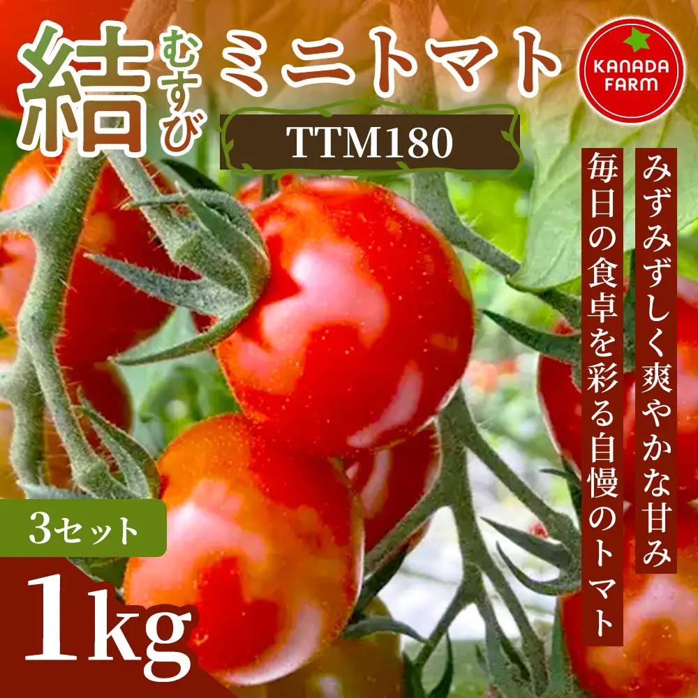 《先行予約》結（むすび）ミニトマト（TTM180）1kg 3セット 新鮮野菜 フルーツ 旬 サラダ デザート お弁当 朝食 料理用 そのまま食べる おうちごはん お取り寄せ みずみずしく爽やかな甘み 産地直送 贈り物 手土産 愛知県 豊橋市