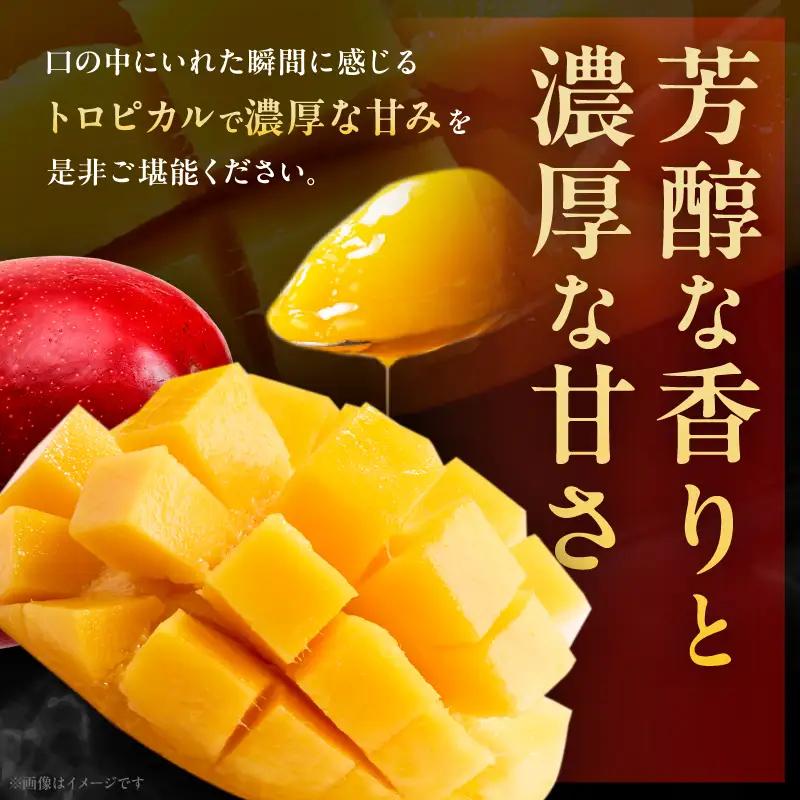 先行予約 数量限定 完熟マンゴー 『太陽のタマゴ 』 2玉 約1kg マンゴー 宮崎 果物 フルーツ くだもの 2027年 国産 高級 マンゴージュース 希少 南国フルーツ デザート おすすめ ギフト