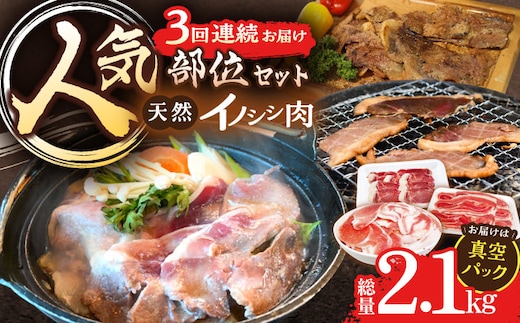 
										
										【3回定期便】ジビエ 天然イノシシ肉 人気部位 総量2.1kg【照本食肉加工所】 [OAJ074]
									