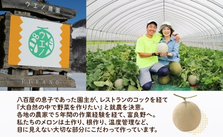 <2025年発送 先行受付>ふらの産 しあわせのメロン 赤肉 4〜5玉 計8kg メロン 富良野メロン 赤肉メロン 果物 フルーツ 甘い 美味しい スイーツ ギフト 贈答 送料無料 ウエノ農園 北海道