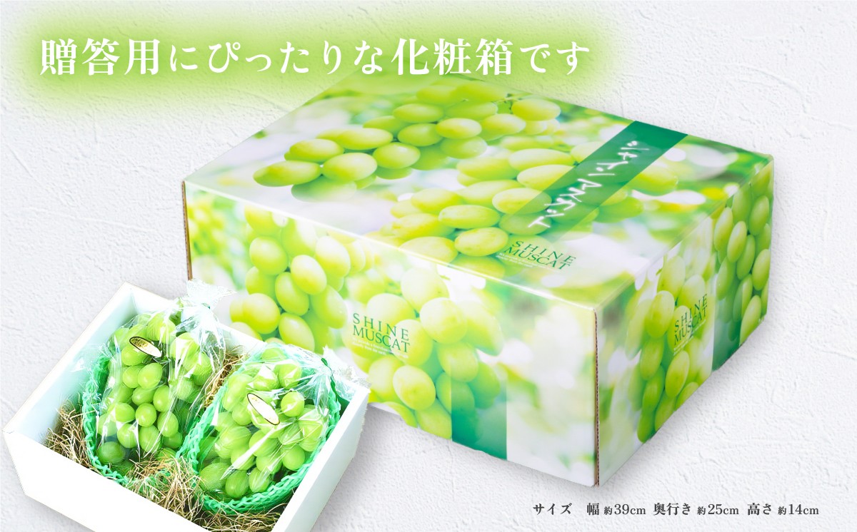 丁寧に愛情をこめた生産を日頃から心がけています。